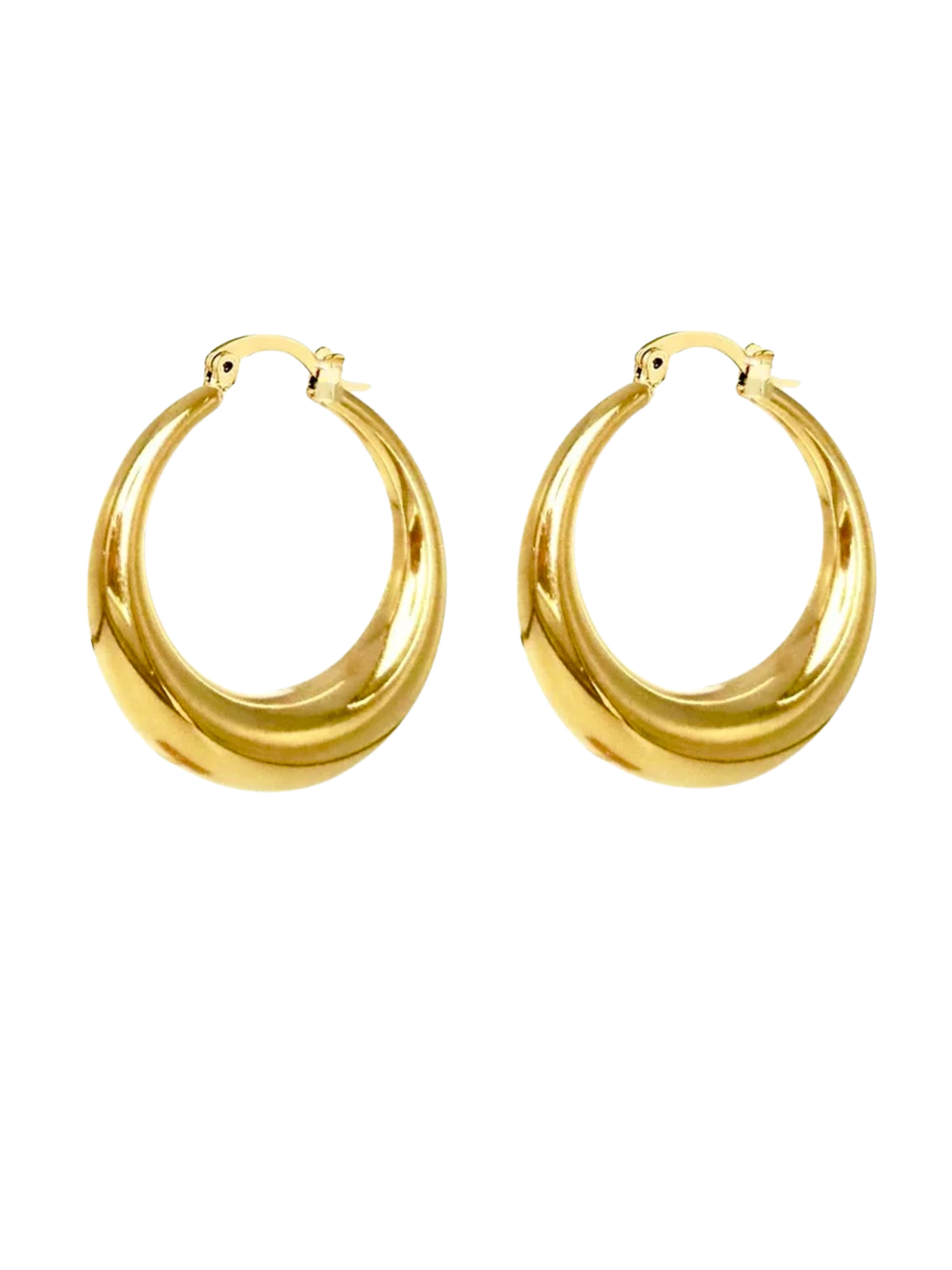 cecile m hoops